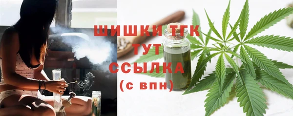 прущая мука Дмитриев