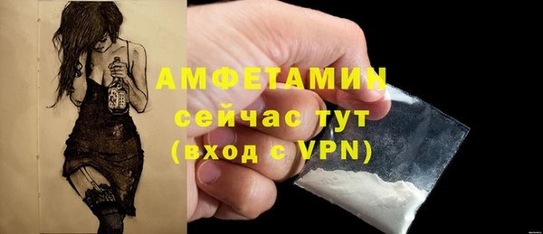 тгк Дмитров