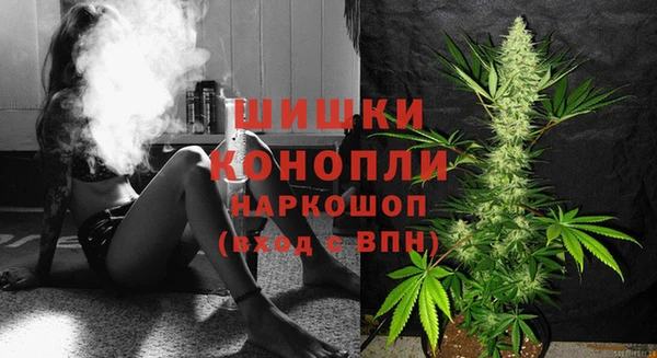 прущая мука Дмитриев