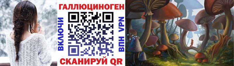 Псилоцибиновые грибы ЛСД  Ставрополь 